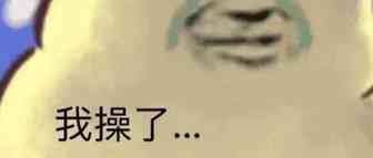 史上第一个被卖家骗了钱的VAT服务商-管管