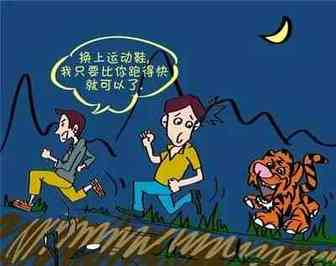 亚马逊入门到破产（选品的故事）