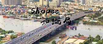 越南电商市场 格局如何？