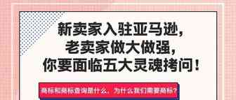 新卖急着入场，老卖胆战心惊，亚马逊的五大灵魂拷问！