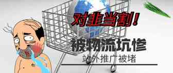 对韭当割！卖家被物流坑惨，站外引流被堵，下半年该如何运营？