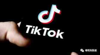 TikTok快讯:字节跳动为抵抗美国压力，加倍扩大中国业务