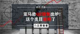亚马逊Q2销售出炉！这个类目逆转了