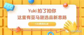 Yuki拍了拍你，亚马逊选品新思路