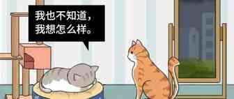 做着跨境电商，突然有点不开心