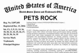 远离这种动物形象！Pets Rock今年第一案，商标、版权都抓！