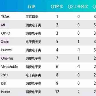 OneSight 发布《2020Q2中国出海品牌海外社交传播百强榜》