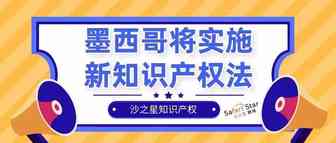 墨西哥将于今年11月5日实施新《联邦知识产权保护法》