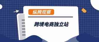 纵腾观察 | 跨境电商独立站，是新浪还是旧浪？