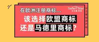 在欧洲注册商标，该选择欧盟商标还是马德里商标？