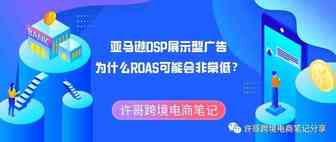 许哥笔记：亚马逊DSP展示型广告为什么ROAS可能会非常低？