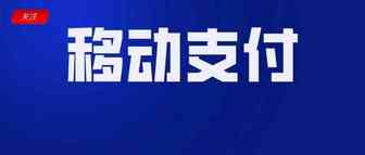 越南电商再传好消息！移动支付公司WePay获Gojek巨额融资