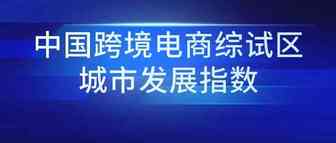 2020中国跨境电商综试区城市发展指数发布