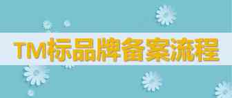 R标还没下来？莫慌，TM 标也能进行品牌备案啦