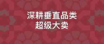 重磅！Anker投资的跨境电商大卖准备A股上市！