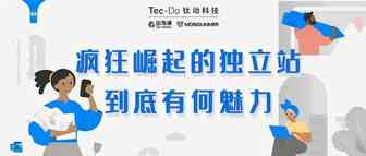出海科普|疯狂崛起的独立站到底有何魅力？