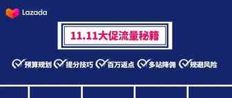 @Lazada打工人，想双十一销量大涨？收下大促流量秘籍，爆单翻身做大卖！