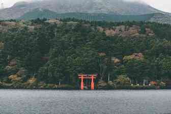 物流信息简报