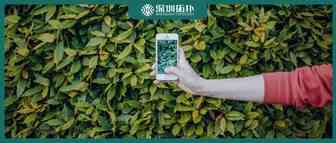想让你的Instagram账户更好地吸引受众？这5个方法简单却实用
