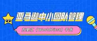 万里汇（WorldFirst）干货| 亚马逊中小团队管理