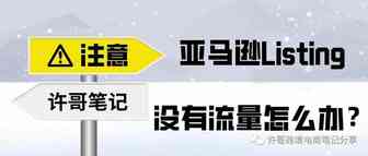 【干货+测试】解析Listing没有销量的原因以及通过数据分析解决流量和转换低的问题