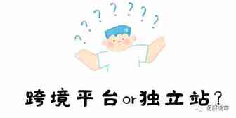 新手想做跨境电商，平台or独立站，如何选择？