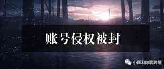 亚马逊账号侵权被封