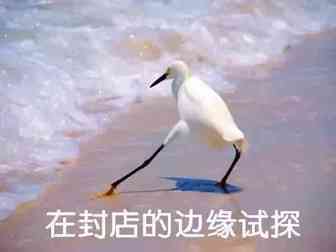 东山再起！仅用短短5个月，店铺日营业额高达6万美金，他凭啥？