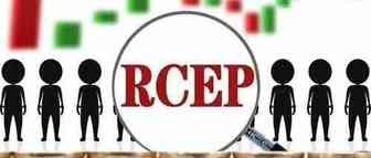 RCEP出台，电商卖家出海日本再不抓住这些就晚了 | 飞书深诺研究院