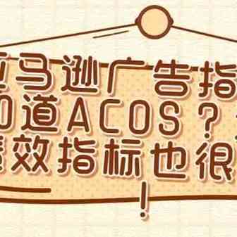 亚马逊广告指标只知道ACOS？这个绩效指标也很重要！