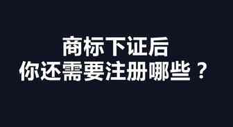 商标下证后你还需要注册哪些？