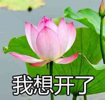 涨涨涨！欧美澳日多地运价持续上涨！本月起船公司开始征收附加费、上调运费！