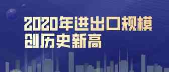 海关总署：2020年我国成为全球唯一实现货物贸易正增长的主要经济体