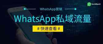 WhatsApp私域流量入门教学