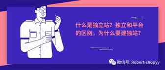 什么是独立站？