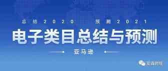 2020年亚马逊电子类目总结及2021年预测