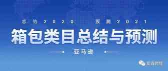 2020年亚马逊箱包类目总结及2021年预测