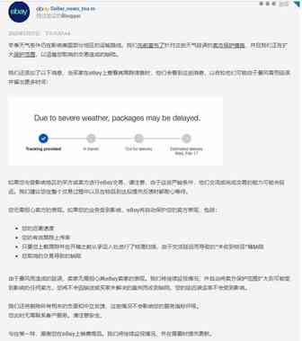 美国持续暴雪，eBay和Amazon为卖家出谋划策！