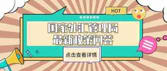 国家外汇管理局发布货物贸易、个人外汇等业务政策问答