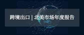 中国跨境出口B2C电商北美篇 | 2020-2021年度发展报告