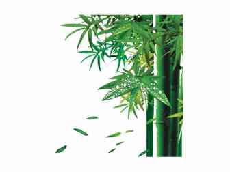 班泊Bang boom跨境：shopee店铺优化，做好这些细节是重点！
