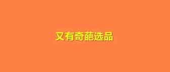 运河堵这些日子的奇葩选品，通了运价还涨吗？