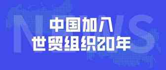 “入世”20年，世贸组织给中国答卷打出高分