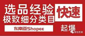 学员经验分享：Shopee极致细分类目上架快速起爆，单日劲销1W台币