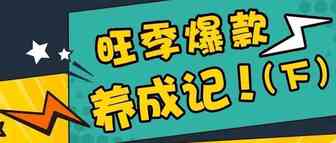 OOFAY |高能预警，旺季爆款养成记（下）
