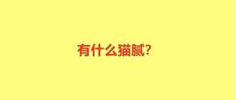 美线涨价的真相！形势差就可以不要脸了？