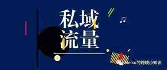 我花钱从谷歌、FB推广来的流量要怎么价值最大化？