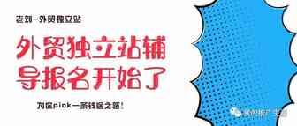 2021年外贸独立站辅导进行中