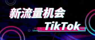 新流量机会——TikTok正重塑美国青少年的购物偏好