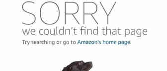 某基 某宝 某拓amazon店铺轰然倒下,该怎样做好amazon